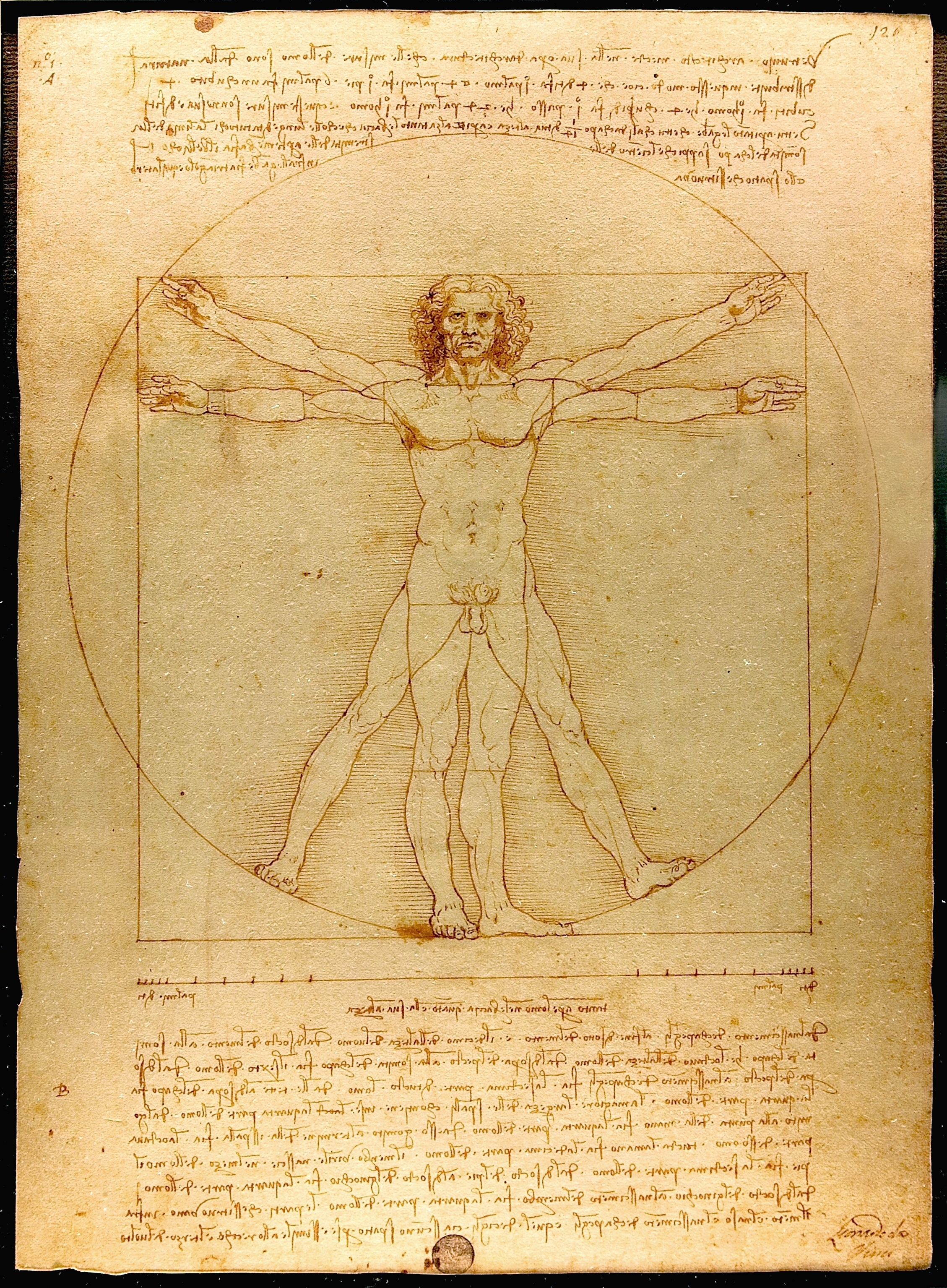 Da Vinci Vitruvian man